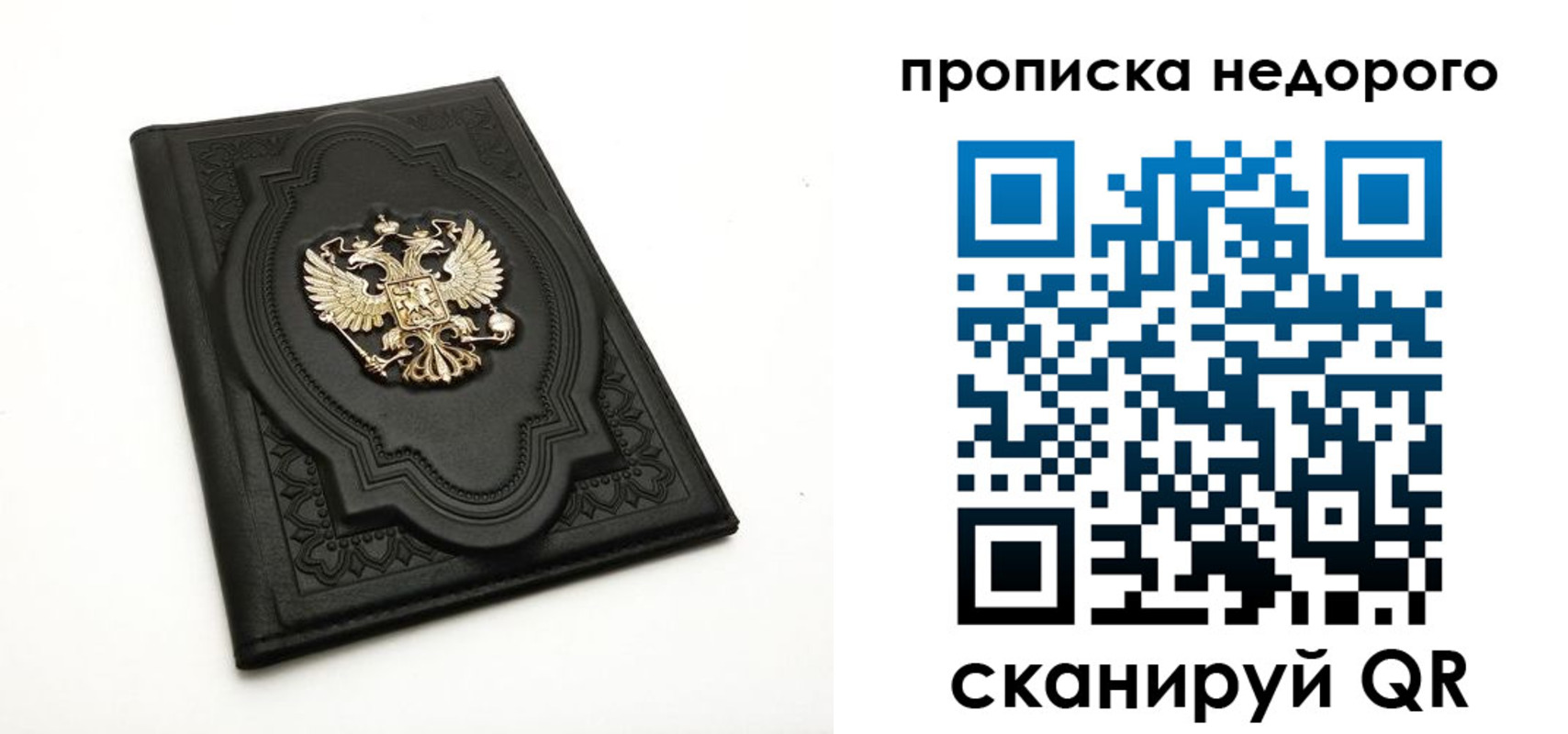 прописка для школы в Владимире