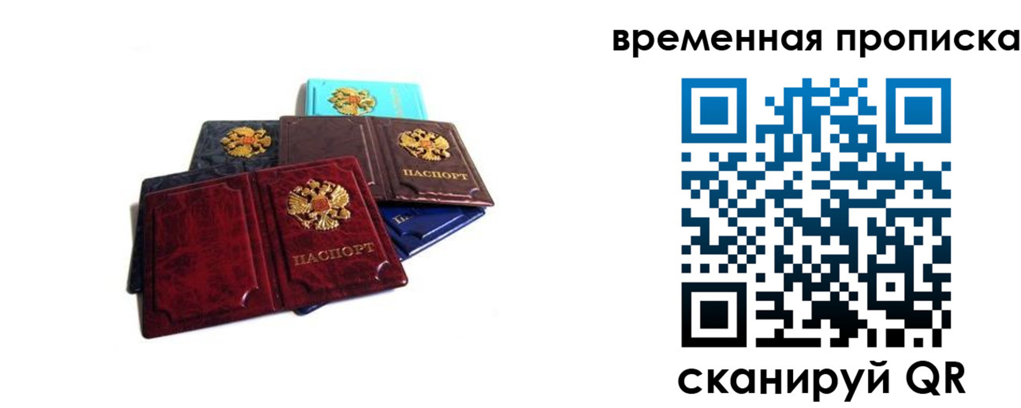 прописка законно в Владимире